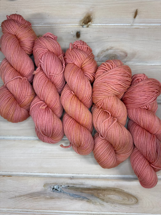 Calliope DK
