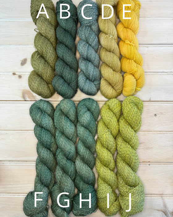 Farm Fingering - Last of the Dye Lot