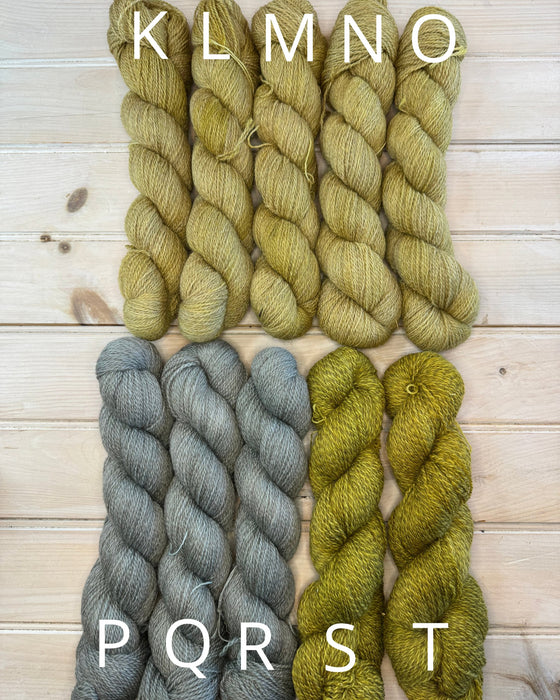 Farm Fingering - Last of the Dye Lot