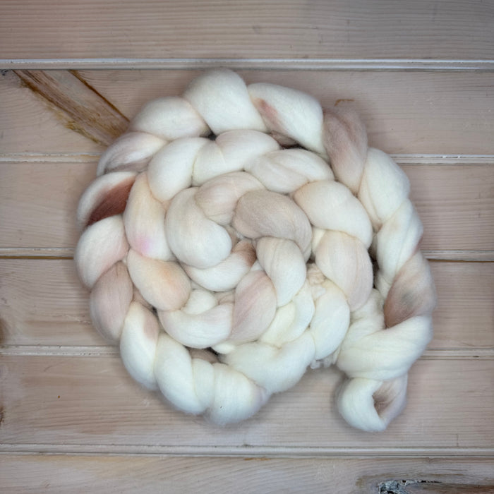 Mushroom Rambouillet