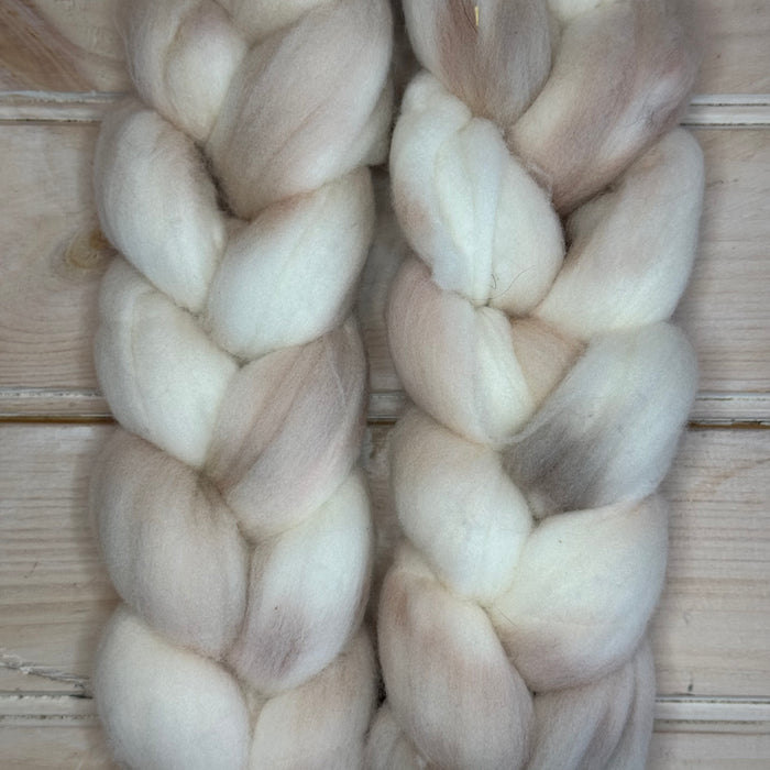 Mushroom Rambouillet